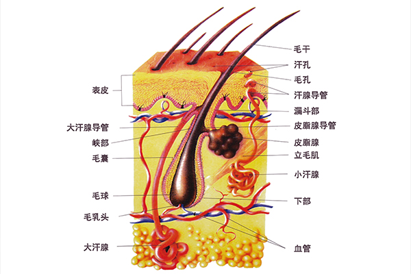 微信图片_20210325131858.jpg